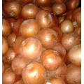 Wholesale 10kg bag red yellow fresh onion to Malaysia